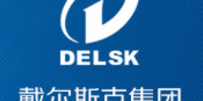 DELSK GROUP